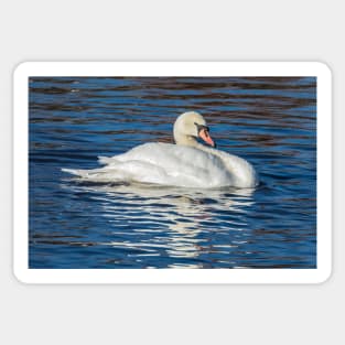 Swan glide Sticker